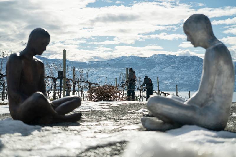 Mission Hill Family Estate Winery - sculptures